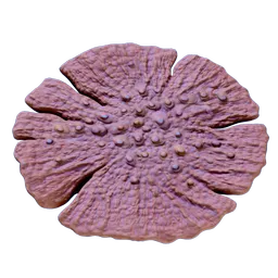 CoralPlating.webp