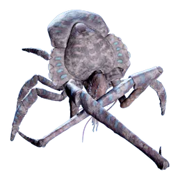 CoralcrabDead.webp