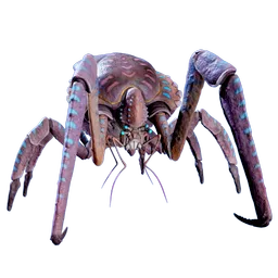 Coralcrab_01.webp