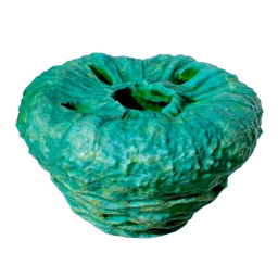 DonutNoWorms.webp