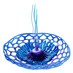 TripeBowlRaion.webp
