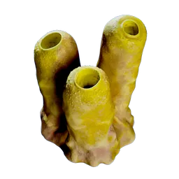 YellowTubeSponge.webp
