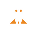 Cicada.webp
