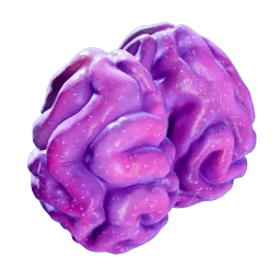 AcidAnemone_01a_Fruit.webp