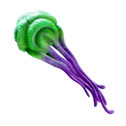 AcidAnemone_MedigelSac.webp