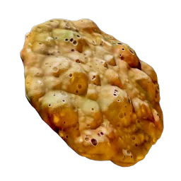 CoralCookie.webp