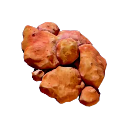 CoralShavings.webp