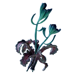 FreesiaPlant_Adult_01.webp FreesiaPlant_Adult_01.webp