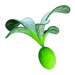 CherimoyaRotsac_Fruit.webp CherimoyaRotsac_Fruit.webp