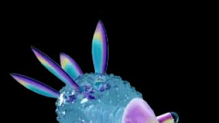 ウミウシ（生物）