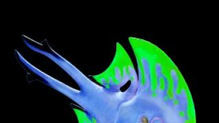 ハーヴェストムーン（生物）