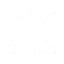 006_A01_Rune05_PosionEvoke.webp