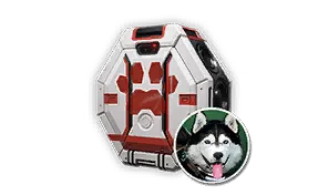 RandomBox_021.webp