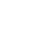 fellow.webp