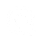 ChangeAmmo_EnhancedToHighPower.webp