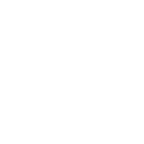 MaxShieldToShield.webp