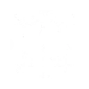 Skill_006_R05_Rune.webp
