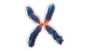 Material_Common_General_019.webp