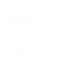 Kyle_R01_Rune.webp