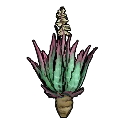 BushAloeFresh_200cm.webp