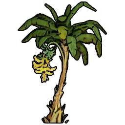 BushBanana_St04_360cm.webp