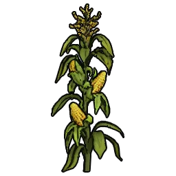 BushCorn_St04_250cm.webp