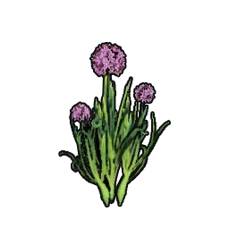 BushLeek_st04_140cm.webp