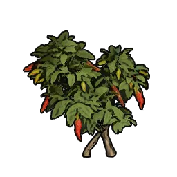 BushPepper_St04_140cm.webp