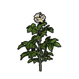 BushPotato_St04_130cm.webp