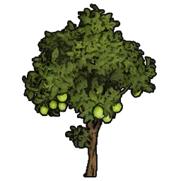 LimeTree_st04_400cm.webp