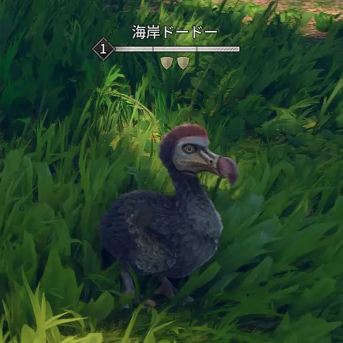 CoastalDodo.webp