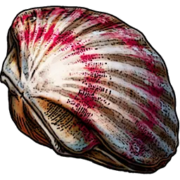 Consumables_T01_ScallopShellClosed_01.webp