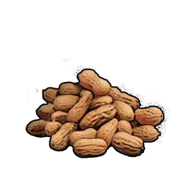 Loot_Tortuga_Peanut_01.webp