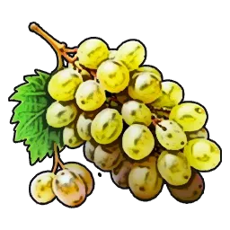 Raw_Food_Grape_T04.webp