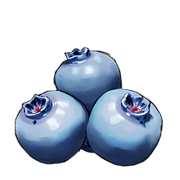 Raw_Food_Icaco_T2.webp