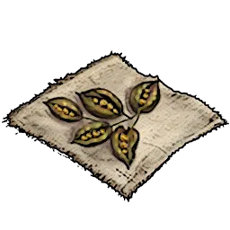 Resources_T01_FicusSeeds_01.webp