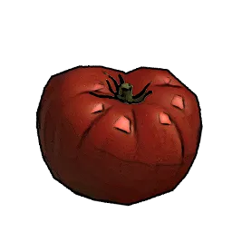 Resources_T01_Tomato_01.webp
