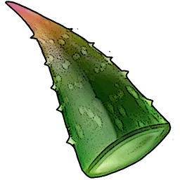 Resources_T02_AloeLeaf_01.webp