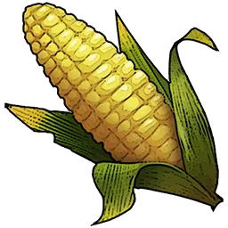 Resources_T02_Corncob_01.webp