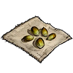 Resources_T02_LimeSeeds_01.webp