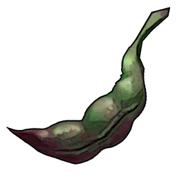 Resources_T03_BlackBean_01.webp