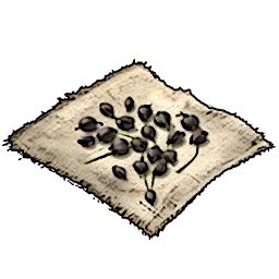 Resources_T03_LeekSeeds_01.webp