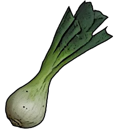 Resources_T03_Leek_01.webp