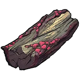 Resources_T03_UmbraWood_01.webp
