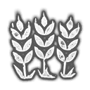 Farm.webp