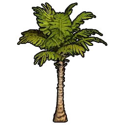 PalmSabal_700cm.webp PalmSabal_700cm.webp