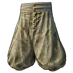 Armor_Flibustier_Legs.webp Armor_Flibustier_Legs.webp