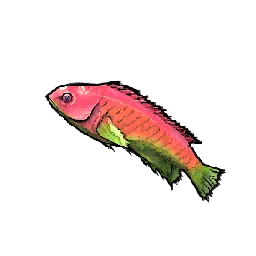 Loot_Fish_Small_PinkWrasse_T01.webp Loot_Fish_Small_PinkWrasse_T01.webp