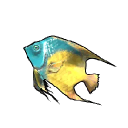 Loot_Fish_Small_QueenAngelfish_T01.webp Loot_Fish_Small_QueenAngelfish_T01.webp