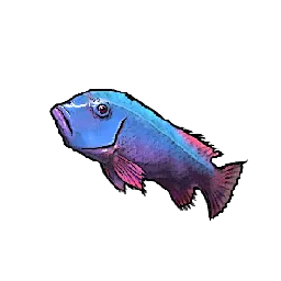 Loot_Fish_Small_SapphireWrasse_T01.webp Loot_Fish_Small_SapphireWrasse_T01.webp